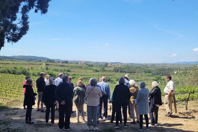 Amarone Wine Tour with 2 Wineries Lunch and Private Transfer - The Itinerary: What to Expect at Each Stop