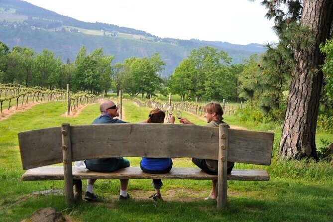 Amarone Wine Tour with 2 Wineries Lunch and Private Transfer - The Experience: What Travelers Say