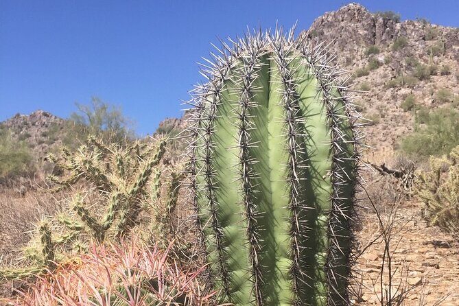 Amazing 2-Hour Guided Hiking Adventure in Phoenix, Arizona - FAQ