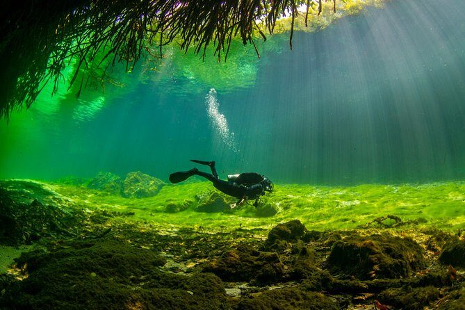 Amazing beginner dive in Tulum cenote (or refresher dive) - What’s the Experience All About?