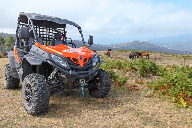 Amazing Buggy Ride in Corno do Bico - What Is the Buggy Ride in Corno do Bico All About?