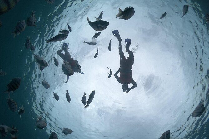 Amazing Clear Boat Adventure and Unlimited Beach Break with Lunch - How This Tour Compares to Similar Experiences