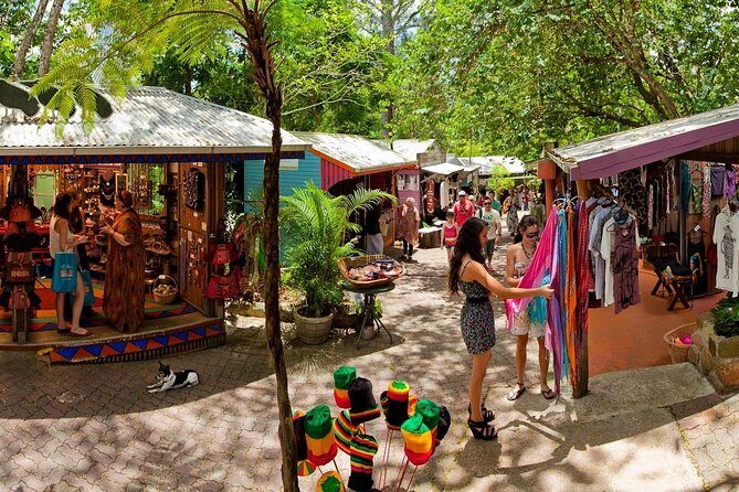 Amazing Daintree Rainforest Tour Waterfall Hike, Lunch, Swim & Crocodile Cruise - FAQ