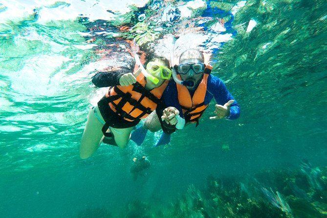 amazing day in catamaran and Isla Mujeres - Drawbacks and Considerations