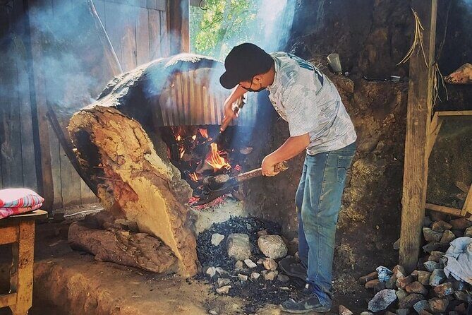 Amazing experience in the mountain of San Jose del Pacifico - The Value of the Tour