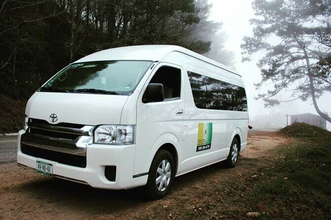 Amazing experience in the mountain of San Jose del Pacifico - Practical Tips for Your Trip