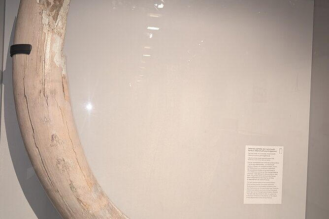 Amazing guided Notre dame and Ile de la cité tour with crypt - Walking Along the Seine and the Bouquinistes