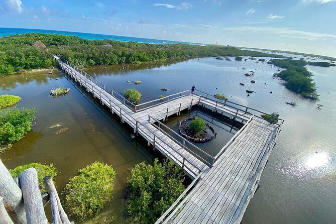 Amazing Jeep Tour Visit Punta Sur Park and San Gervasio Ruins - What to Expect from the Jeep Tour in Cozumel