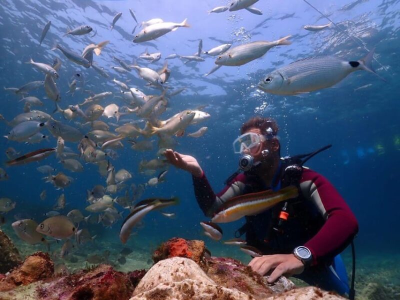 AMAZING KUSADASI SCUBA DIVING - Key Points