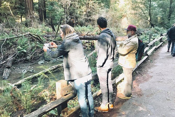 Amazing Muir Woods and Sausalito Tour - Real Traveler Feedback