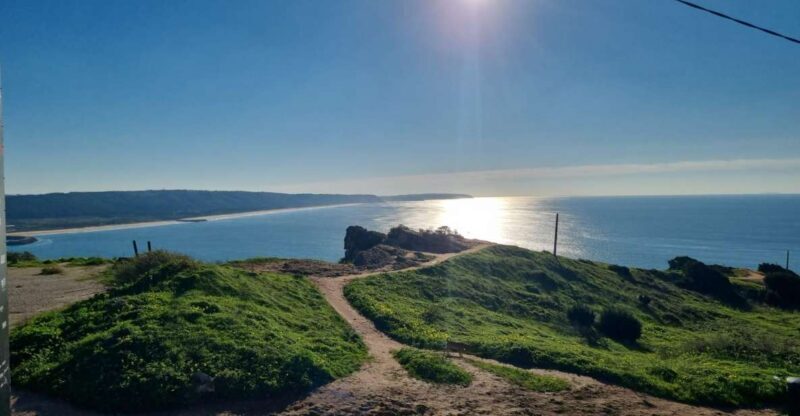 Amazing Private Tour to Alentejo Tour From Lisbon - The Price: Is It Justified?