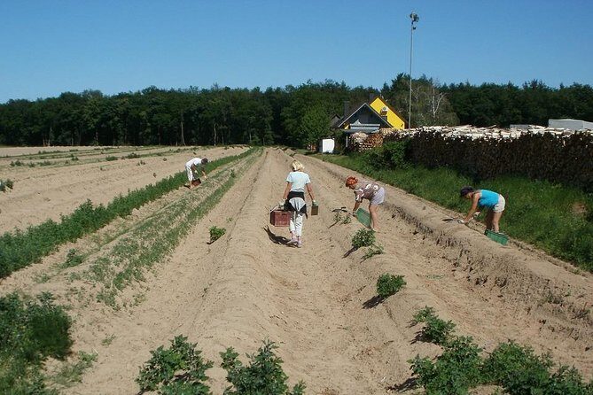 Amazing Schwetzingen Garden Tour - Who Will Love This Tour?