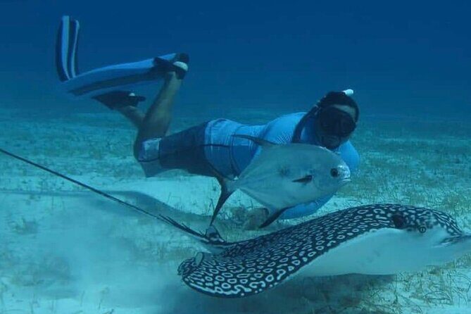 Amazing Snorkel Adventure! Round Transportation From Cancun - The Itinerary Breakdown