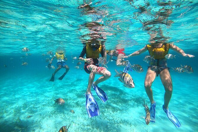 Amazing Snorkel Adventure! Round Transportation From Cancun - The Practical Side: Cost & Additional Fees