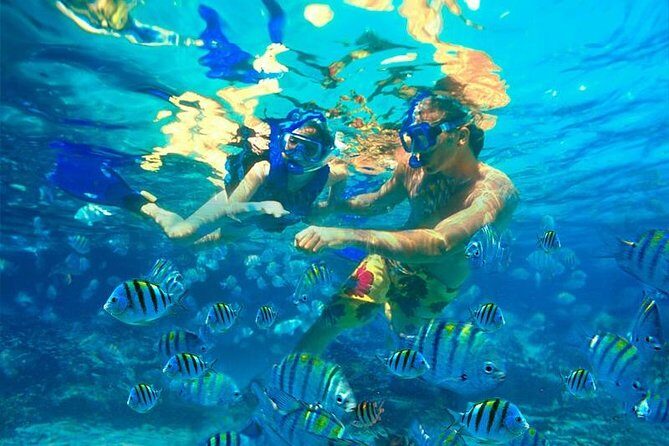 Amazing snorkeling full-day tour to Cozumel Cielo Starfish Reef - What Travelers Are Saying