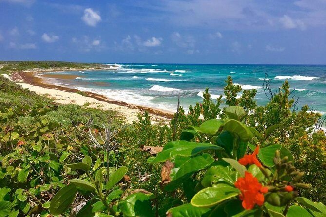 Amazing snorkeling full-day tour to Cozumel Cielo Starfish Reef - FAQs