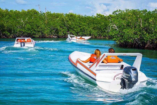 Amazing Speedboat Cancun - Who Will Enjoy This Tour?