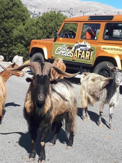 Amazing Sunset Safari Route with Dinner - Key Points