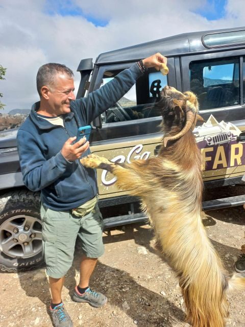 Amazing Sunset Safari Route with Dinner - What to Expect from the Crete Sunset Safari