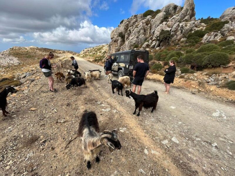 Amazing Sunset Safari Route with Dinner - Final Thoughts