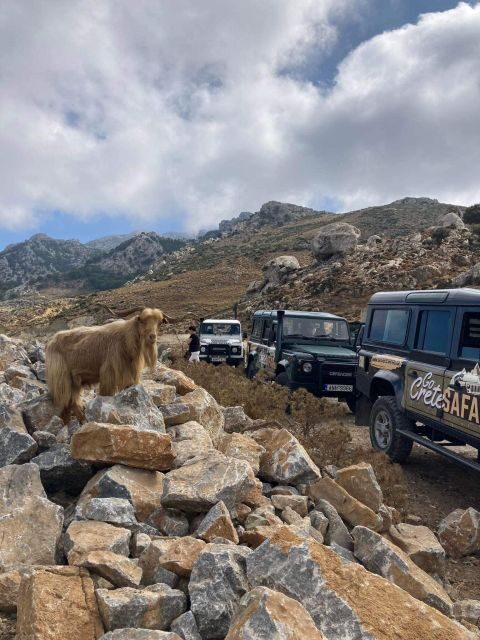 Amazing Sunset Safari Route with Dinner - FAQs