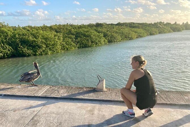 Amazing Tour in Sian Kaan biosphere with Transportation from Cancún! - Key Points