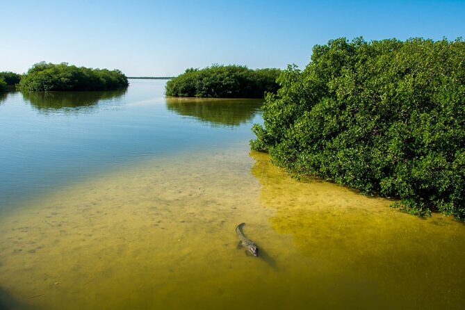 Amazing Tour in Sian Kaan biosphere with Transportation from Cancún! - Who Might Not Love This Tour?