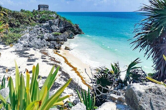 Amazing Tour- Visit Tulum, Cenote (Snorkeling) and Rappel & Jungle ZipLine - Final Thoughts