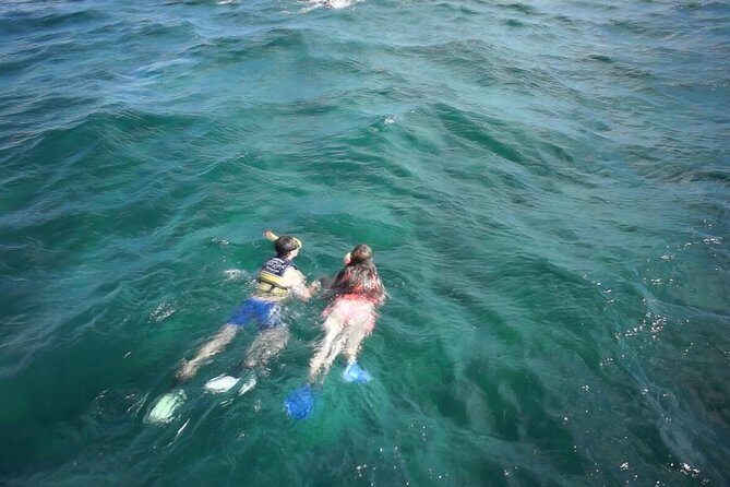 Amazing Unlimited Boat Trip to Isla Mujeres + Transportation from Cancún - What Could Be Better?