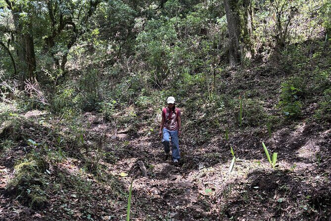 Amazing Walk through the Zapotec Mountains with Hot Chocolate - The Value of This Experience