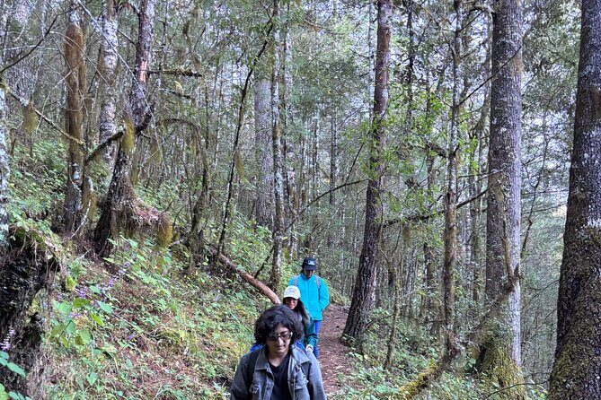 Amazing Walk through the Zapotec Mountains with Hot Chocolate - Who Should Consider This Tour?