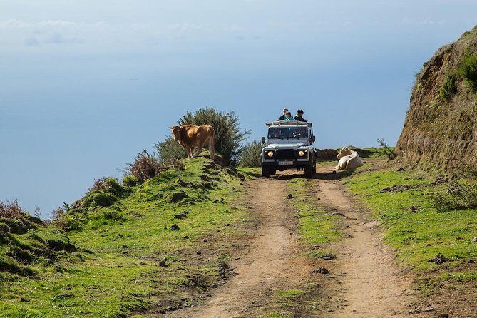 Amazing West - Jeep Safari Tour - Full Day - Shared Tour - Exploring Madeira’s West in a Jeep: Honest Insights into the Full-Day Safari