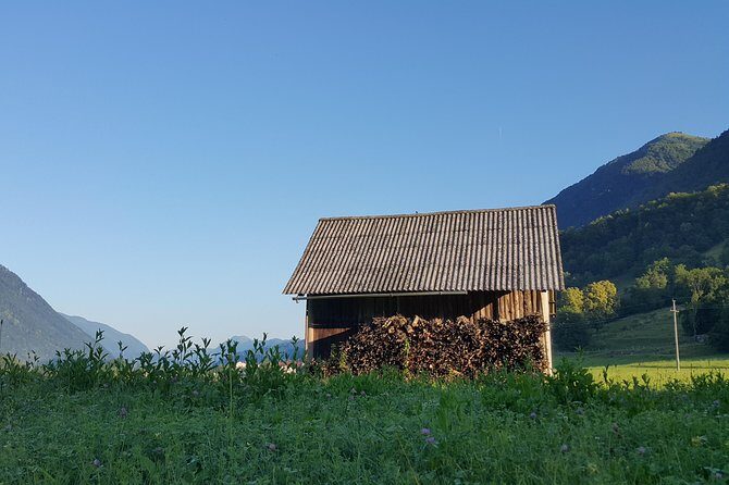 Amazing Willys Jeep Adventure - Price and Value