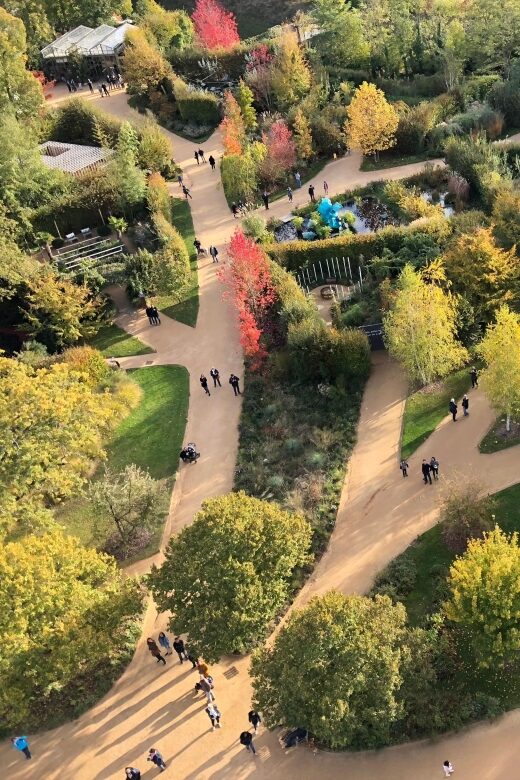 Amboise Hot-Air Balloon Sunrise Ride over the Loire Valley - Authentic Feedback from Travelers