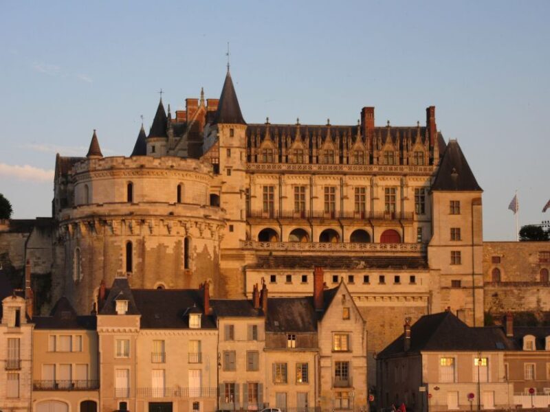 Amboise: Private Guided Tour of the Castle with Entry Ticket - Discovering Château dAmboise: A Treasure in France’s Loire Valley