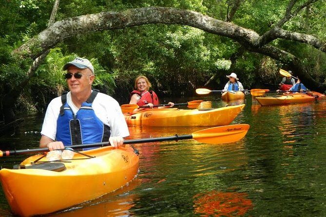 Amelia Island Area Kayak Rental on Lofton Creek with Adventures Up The Creek - What to Expect from Your Kayaking Day
