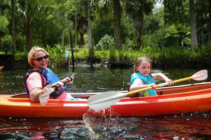 Amelia Island Area Kayak Rental on Lofton Creek with Adventures Up The Creek - The Experience: Wildlife, Calm Waters, and Friendly Service