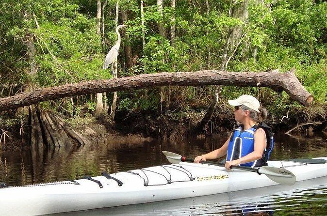 Amelia Island Area Kayak Rental on Lofton Creek with Adventures Up The Creek - Who Should Consider This Experience?