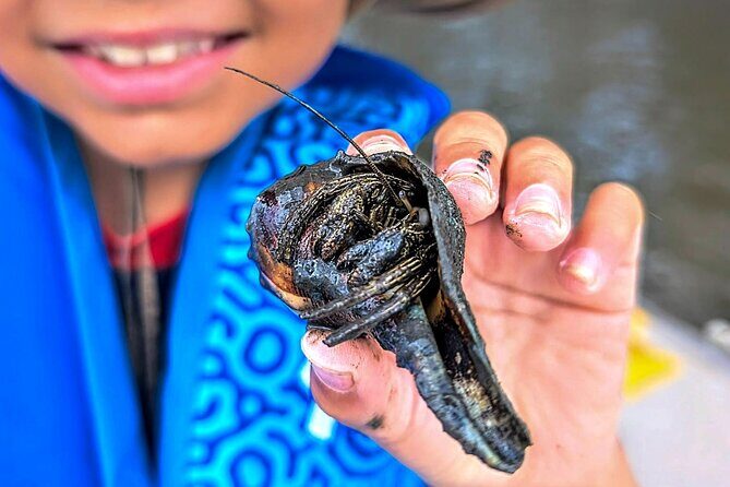 Amelia Island Kayak and Paddleboard Rentals Talbot State Park - Who Should Consider This Tour?