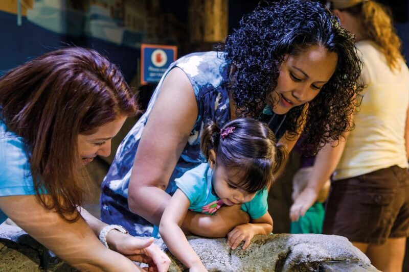 American Dream: SEA LIFE® Aquarium Entry Ticket - Final Thoughts