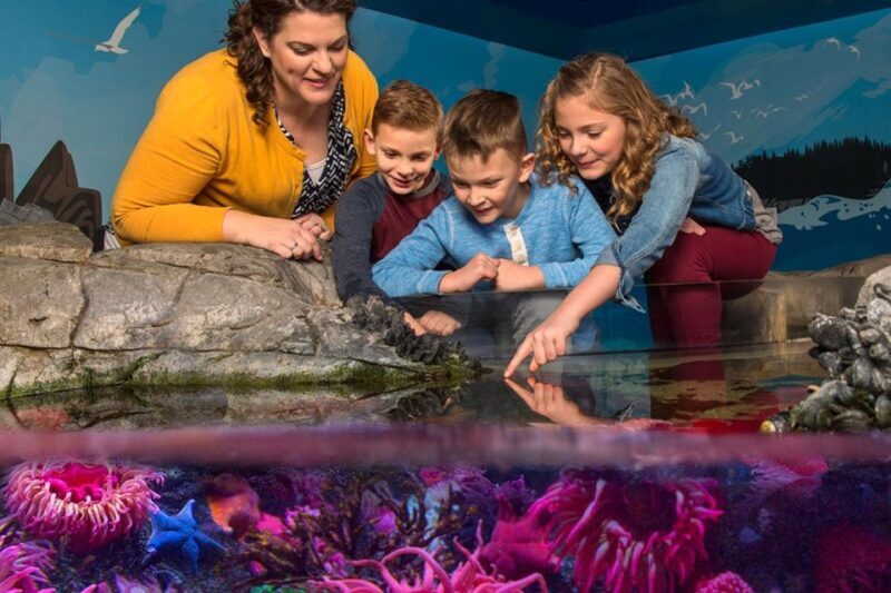 American Dream: SEA LIFE® Aquarium Entry Ticket - FAQ