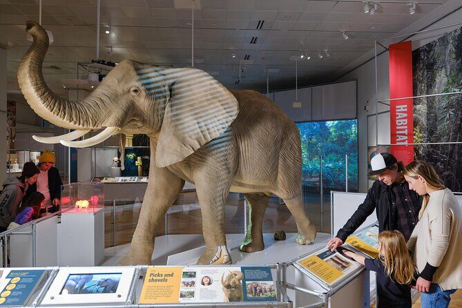 American Museum of Natural History Admission Ticket - Practical Tips for Visiting