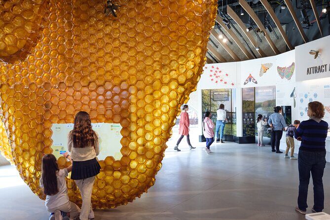 American Museum of Natural History Admission Ticket - The Good and the Not-So-Good