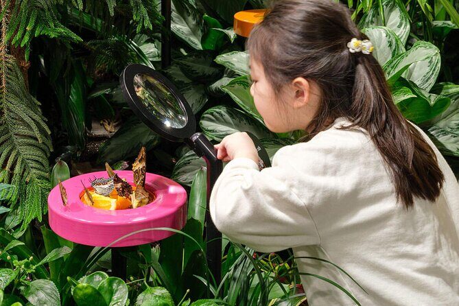 American Museum of Natural History Admission Ticket - Summary: Who Will Love This Experience?