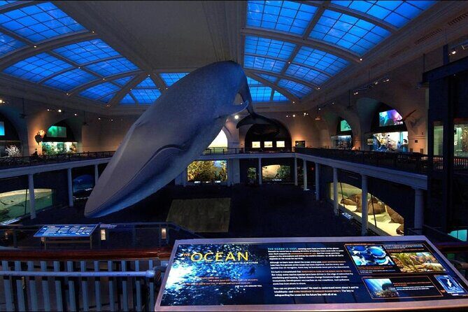 American Museum of Natural History Admission Ticket - Practical Tips for Your Visit
