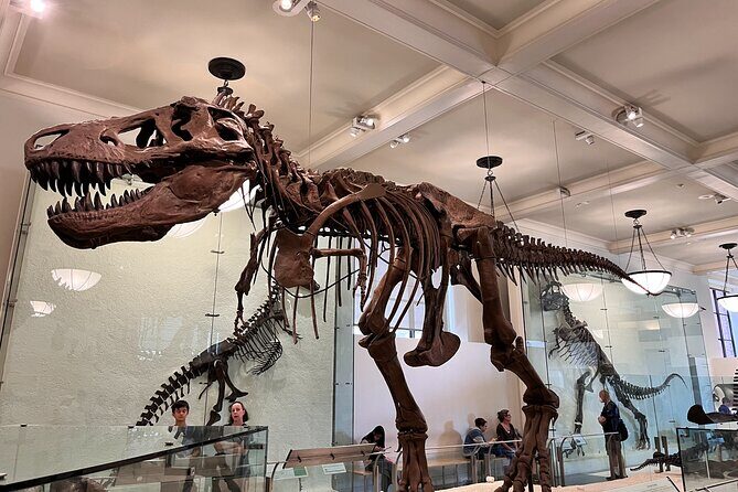 American Museum of Natural History and MOMA Combo Tickets - Who Should Consider This Tour?