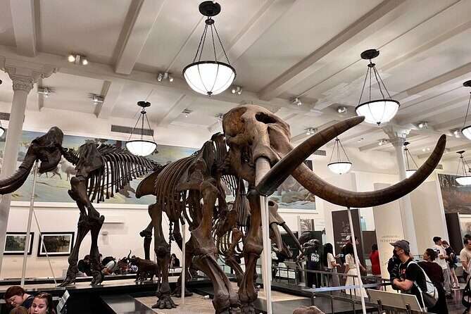 American Museum of Natural History and MOMA Combo Tickets - FAQ