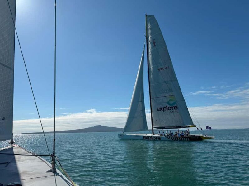 Americas Cup 2-Hour Sailing Experience Waitemata Harbour - The Crew and Safety