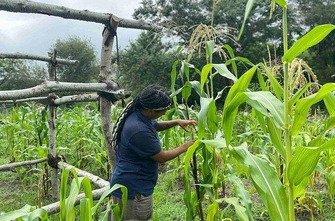 America's Home Town Plymouth Private Tour - Cost and Value