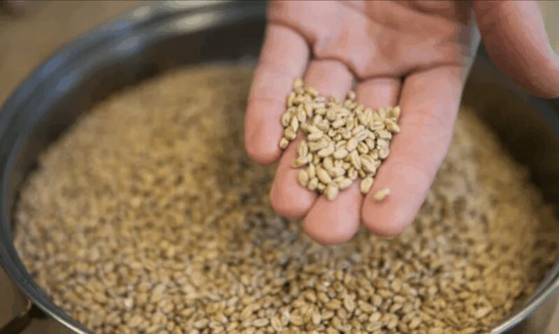 Amersfoort: Beer brewing workshop with lunch & beer tasting - Final thoughts: Is it worth it?